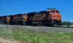 Texas coal